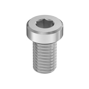 A2 Low-Profile Socket Head Screw M12 x 1.75 mm Thread Size, 20mm Long图3